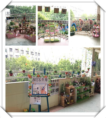 春暖花開，綠樹成蔭——遠恒佳公明第二幼兒園自然觀察角大比拼
