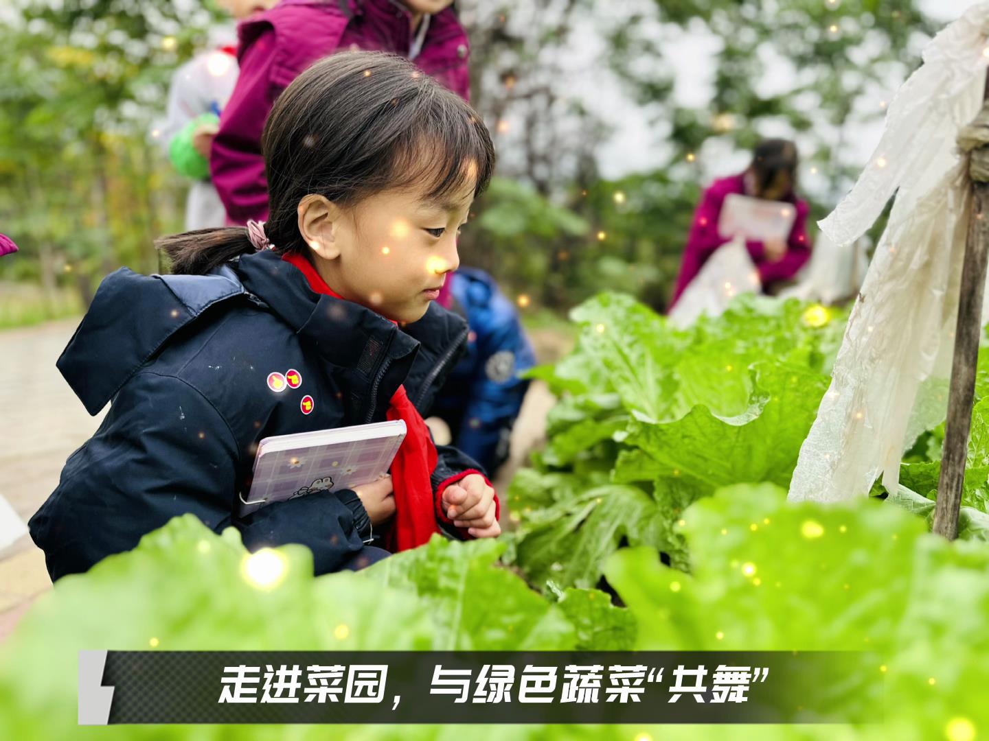美好學校|留校時光，走出教室，與綠色蔬菜共舞